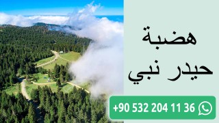 هضبة حيدر نبي